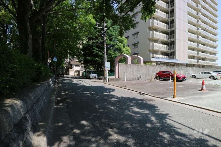 敷地北側の前面道路
