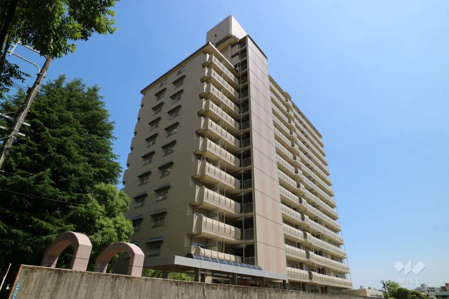 日興宝塚南口スカイマンションの外観（北西側から）
