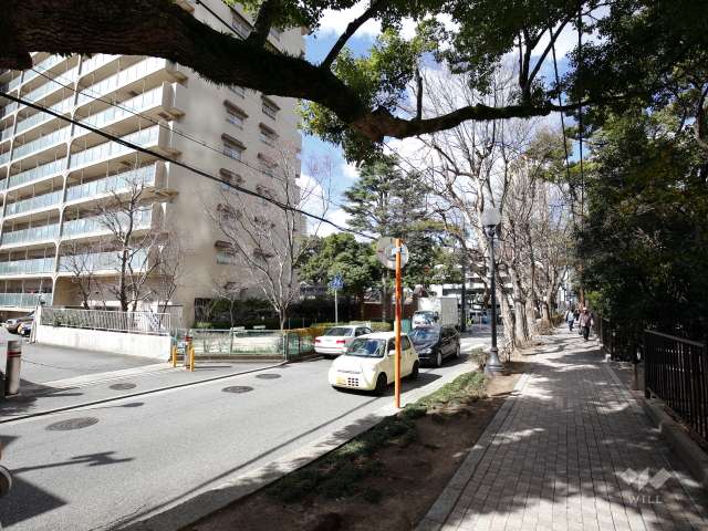 前面道路は花のみちに続く、街路樹が並ぶ通りです。