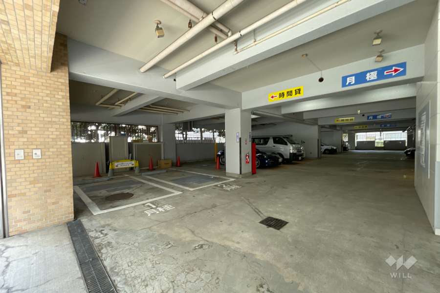 コインパーキングと月極駐車場