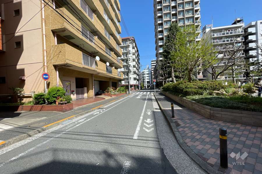 敷地南側の前面道路（西側から）