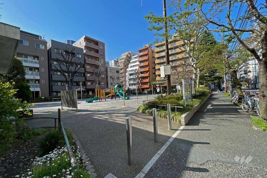 敷地南側には道路を挟んで『大井海岸公園』があります。