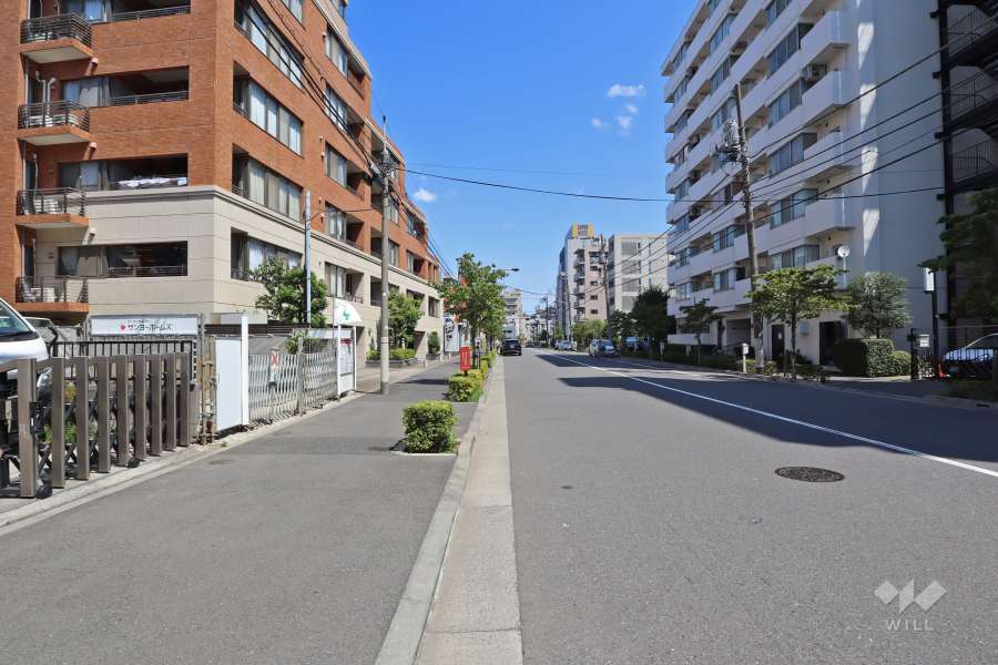 敷地西側の前面道路（南側から）