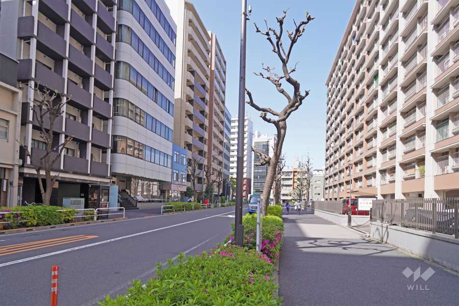 敷地西側の前面道路