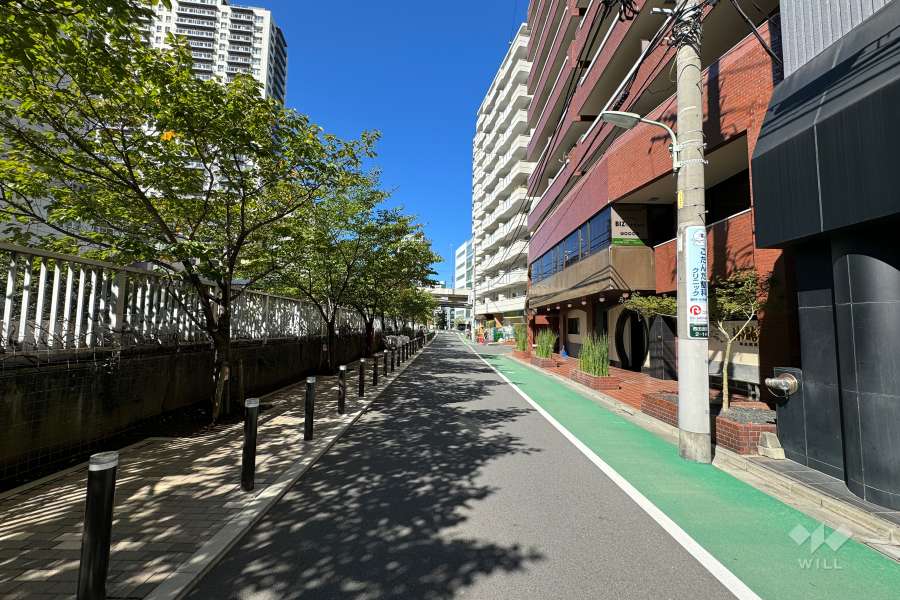 敷地の南側前面道路（東側から）