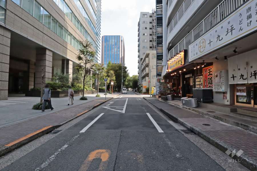 敷地北側の前面道路（西側から）
