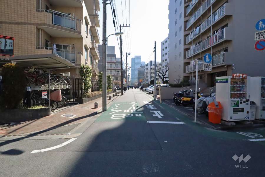 敷地東側の前面道路