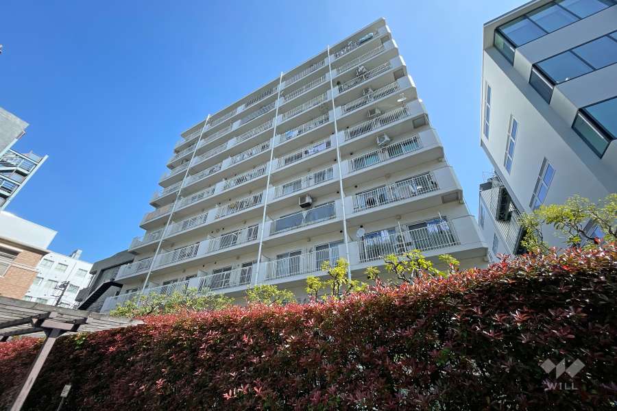 五反田スカイマンションの外観（南東側から）