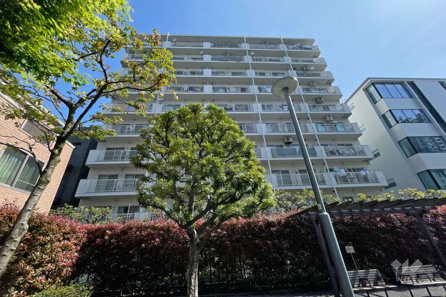 五反田スカイマンションの外観（南西側から）