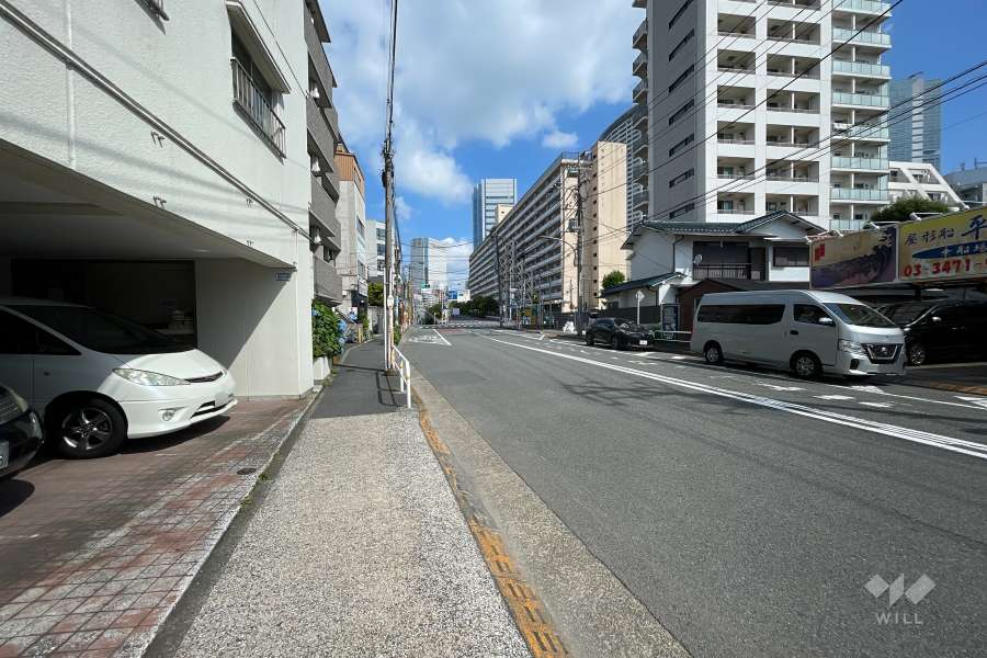 敷地の北東側前面道路（南東側から）