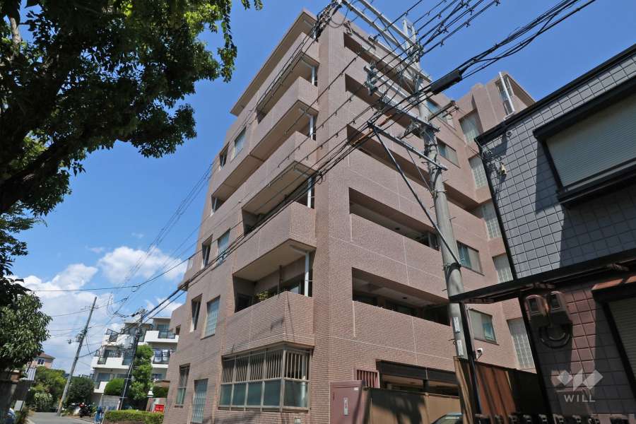 アネスタ武庫之荘の外観（南西側から）