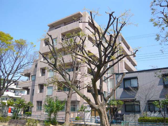 外観（南西側から）