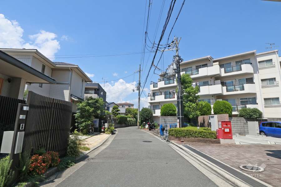 敷地西側の前面道路（南側から）