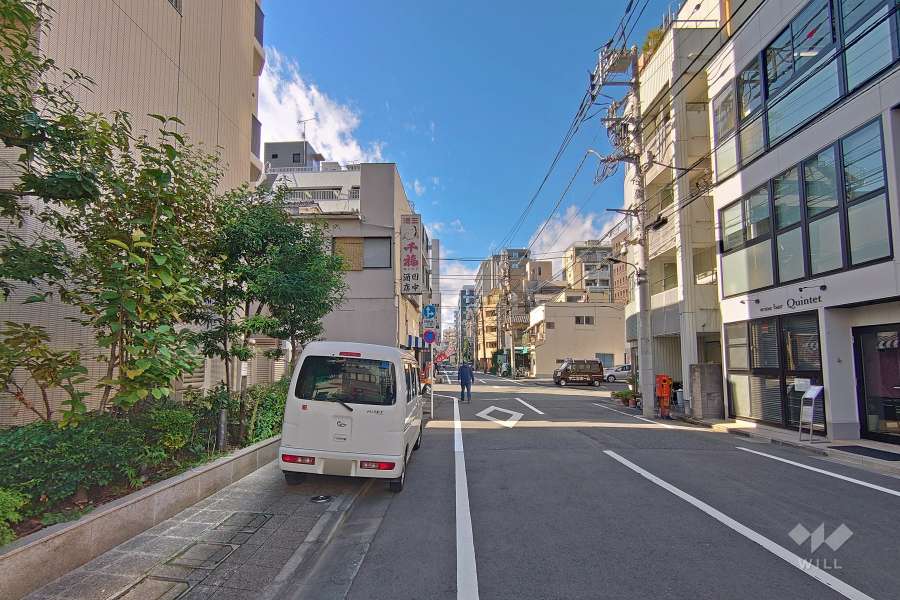 敷地の北側前面道路（西側から）