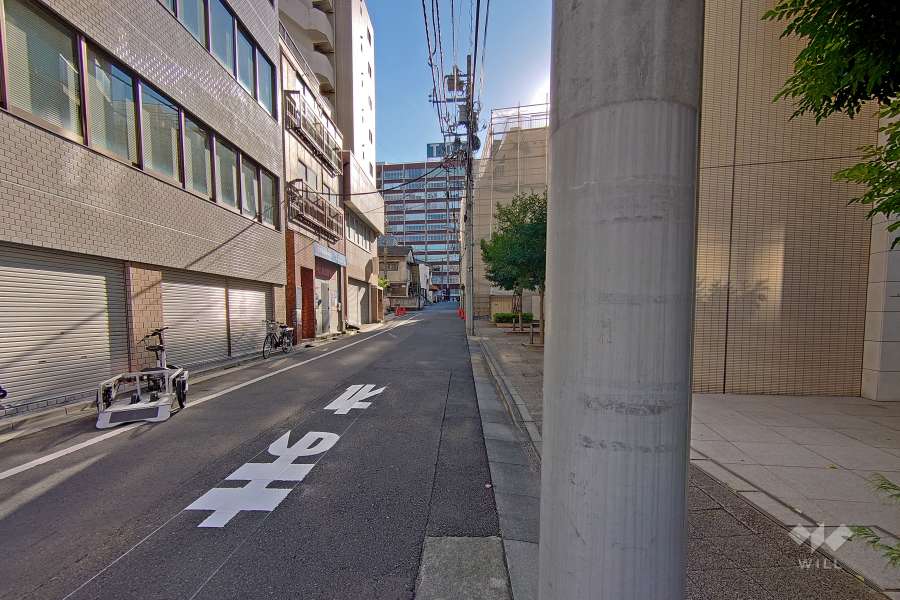 敷地の東側前面道路（北側から）