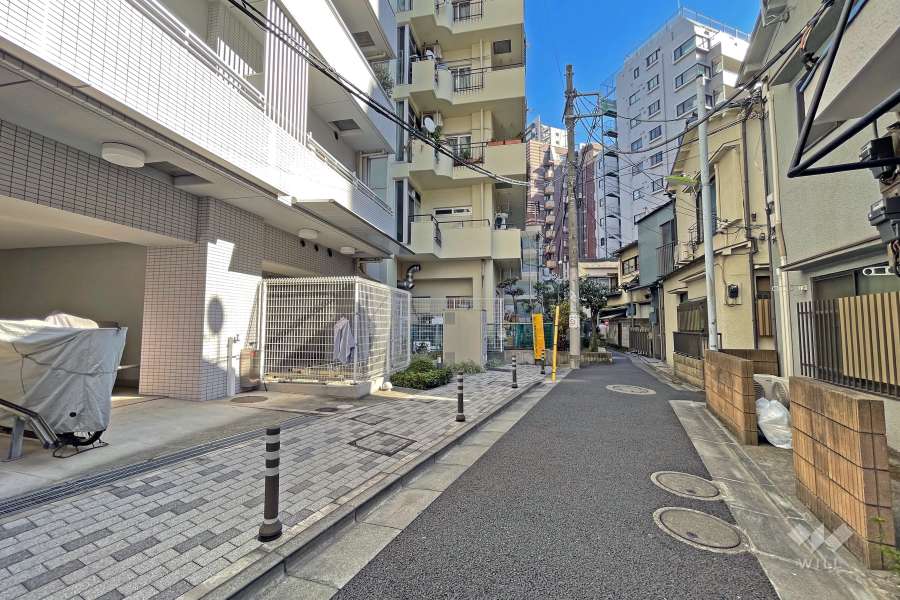 敷地の南側道路（西側から）