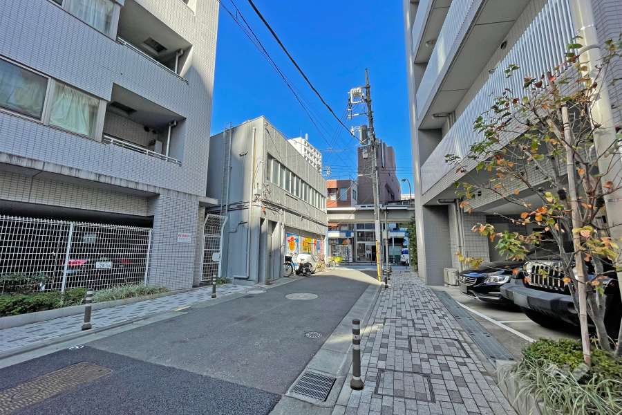 敷地の西側道路（南側から）