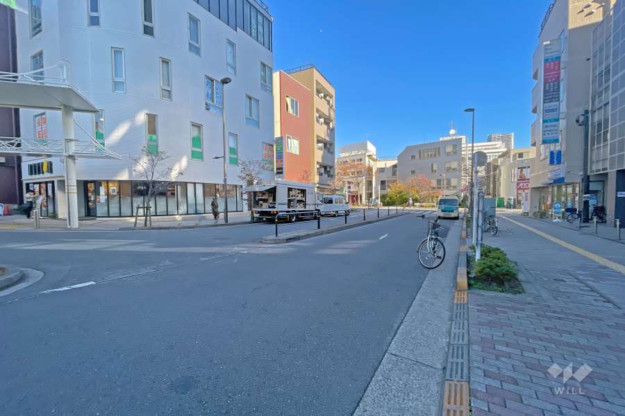 敷地の北西側前面道路（南西側から）