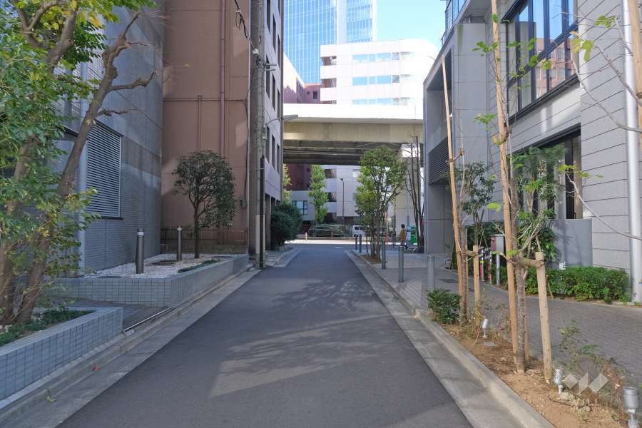 敷地北側の前面道路（西側から）