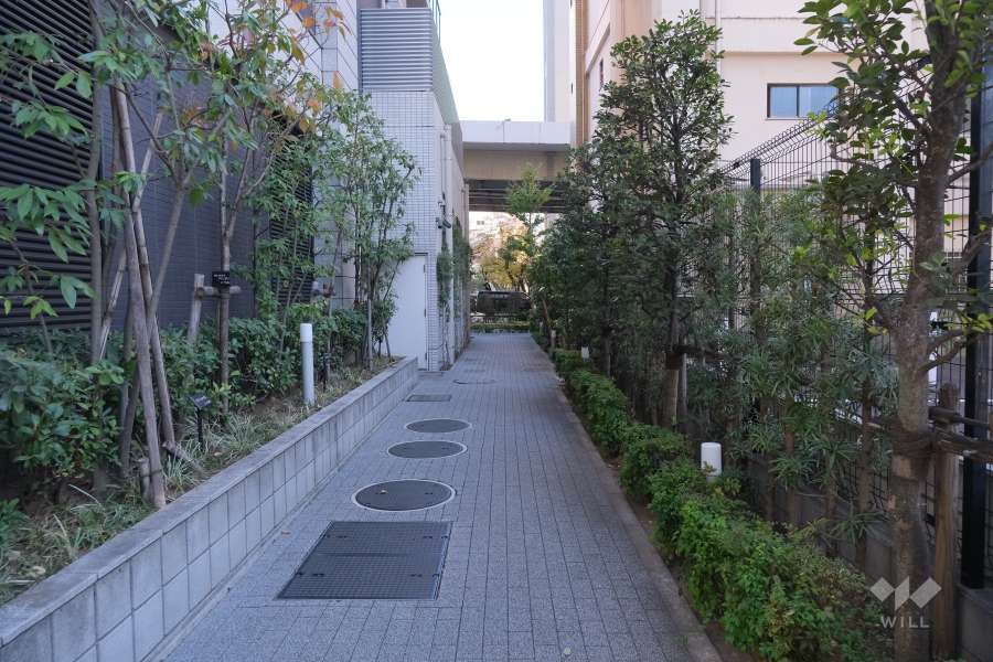 敷地南側の前面通路路（西側から）