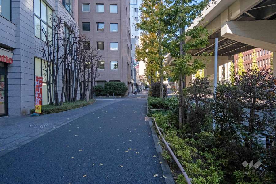 敷地東側の前面道路（南側から）