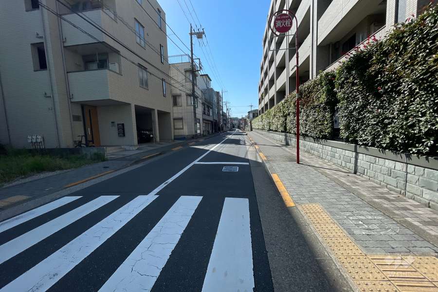 敷地南西側の前面道路（南東側から）