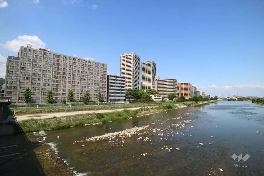 宝塚第１コーポラスの遠景