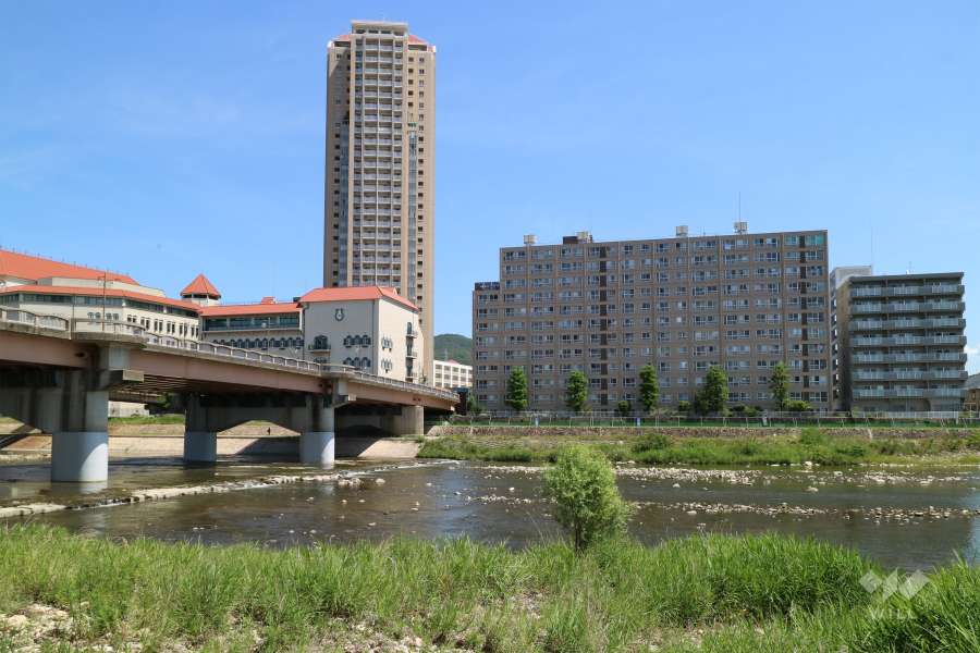 宝塚第１コーポラスの遠景。道を挟んで西側には宝塚音楽学校があります。
