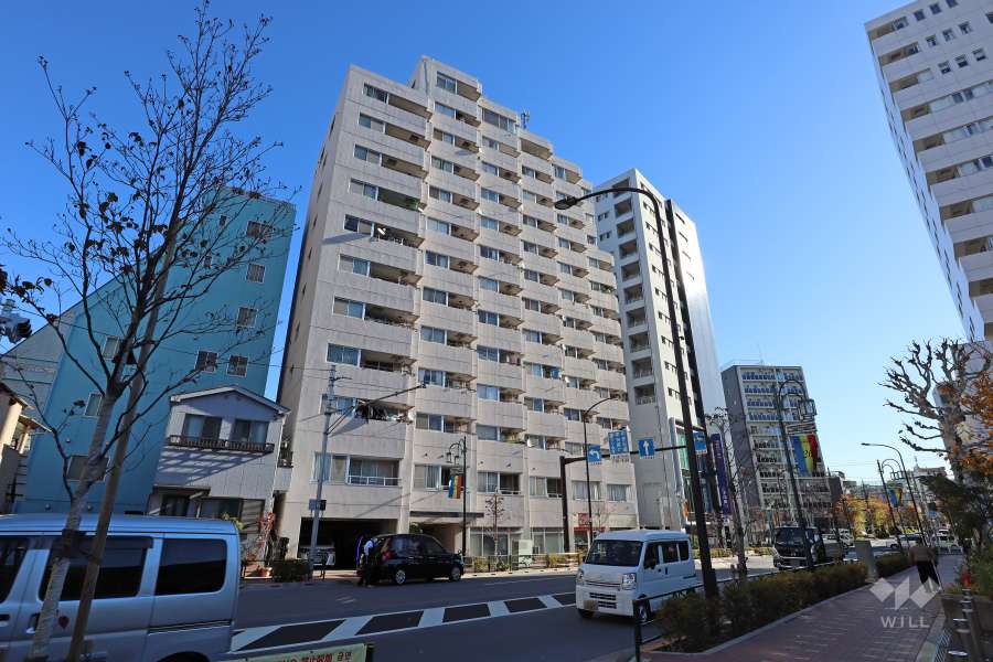 グリーンプラザ武蔵小山の外観（西側から）