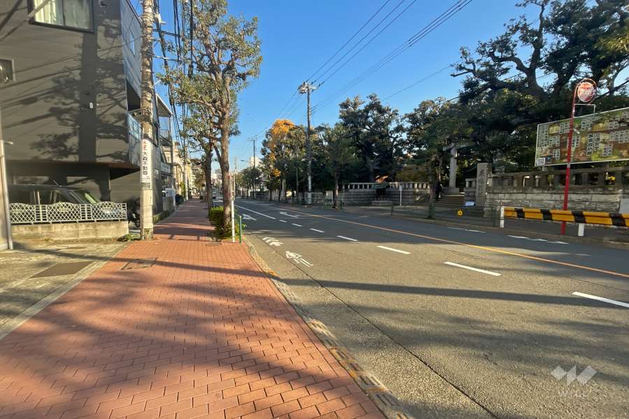 敷地東側の前面道路（南側から）