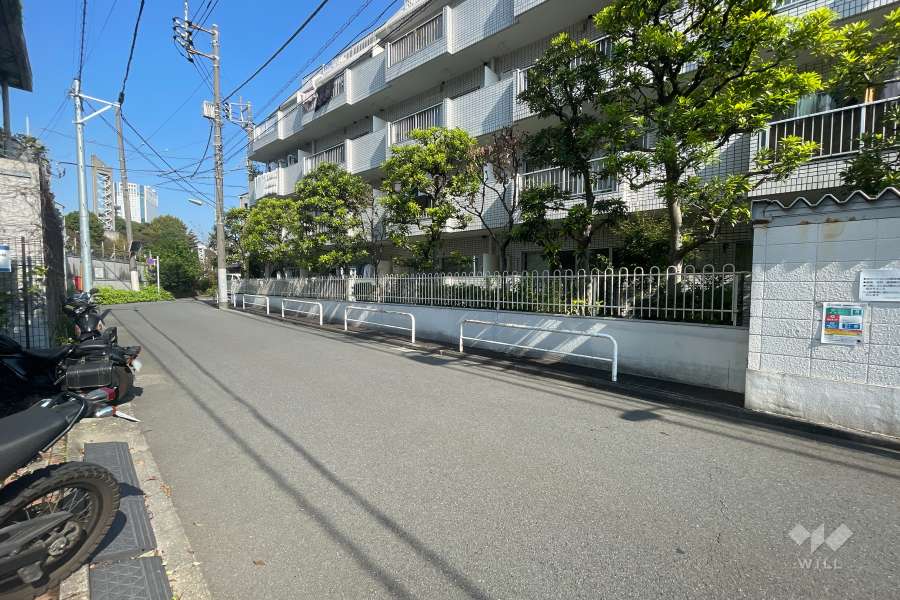 敷地南西側の前面道路（南東側から）