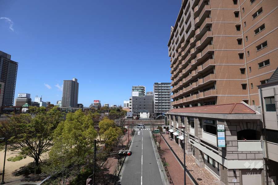 敷地の南側には道路を挟んで公園があります。