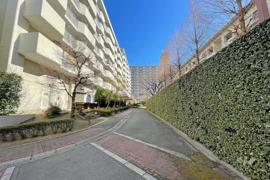 敷地南側の前面道路（西側から）