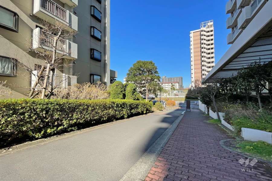 敷地東側の前面道路（南側から）