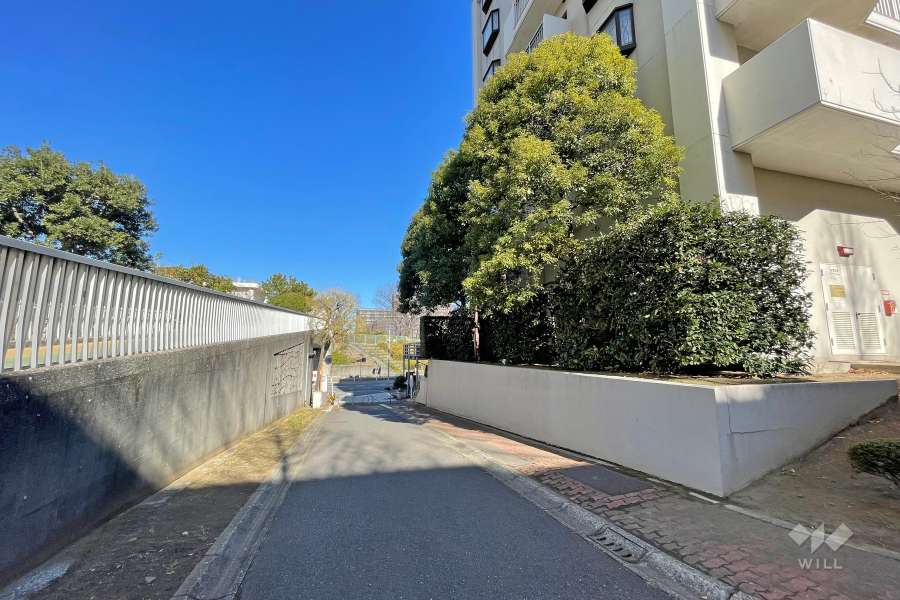 敷地西側の前面道路（南側から）