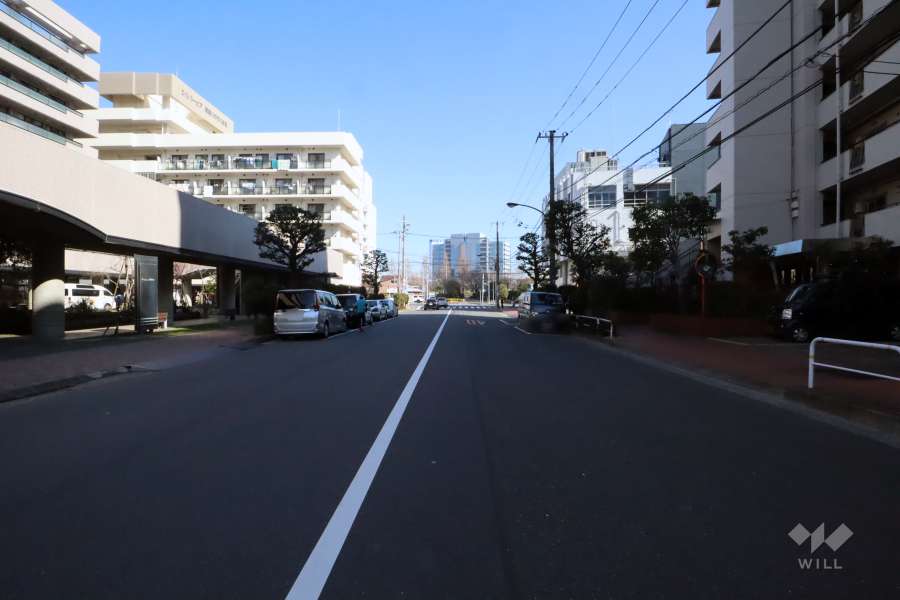 敷地北側の前面道路(西側から)