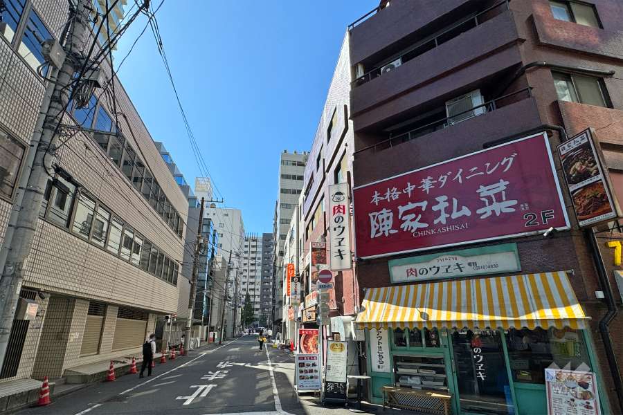 敷地南東側の前面道路（北東側から）