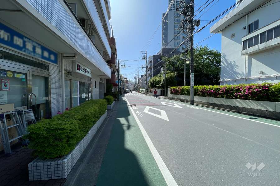 敷地の南側前面道路（西側から）