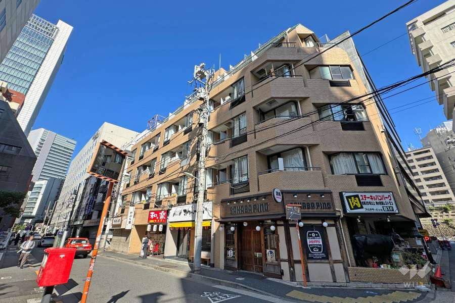 ハイホーム五反田の外観（南側から）