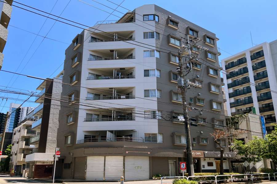 サンハイツ大森の外観（北西側から）