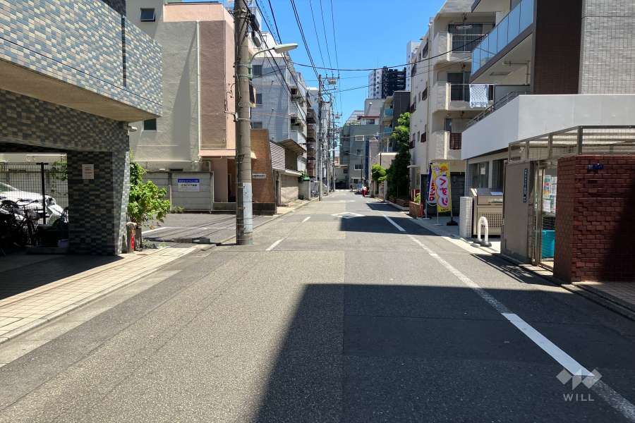 敷地北側の前面道路（西側から）