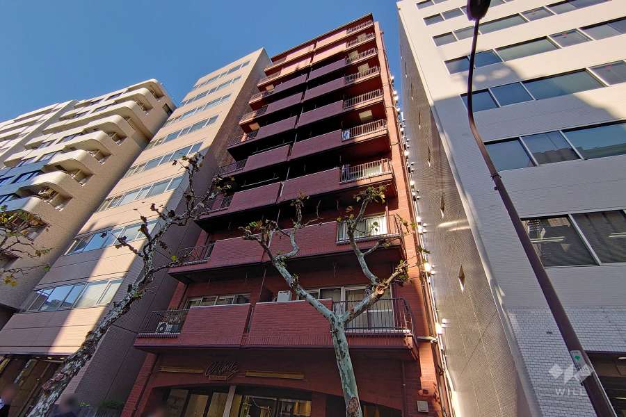 クレール島津山の外観（南東側から）