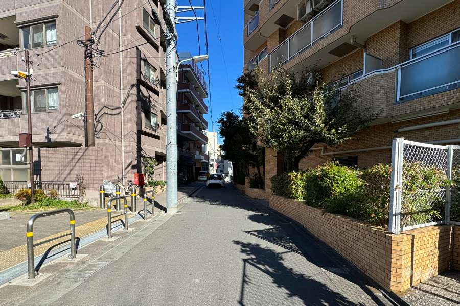 敷地の北西側前面道路（南西側から）