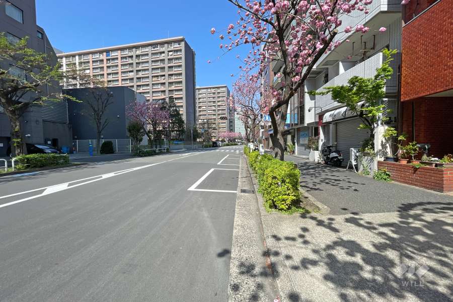 敷地南側の前面道路（東側から）