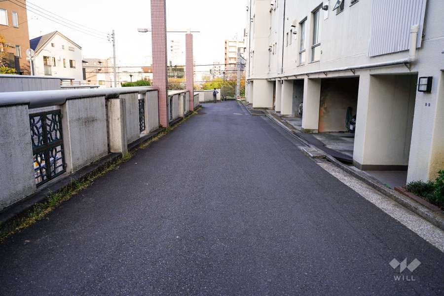敷地北側の前面道路（西側から）