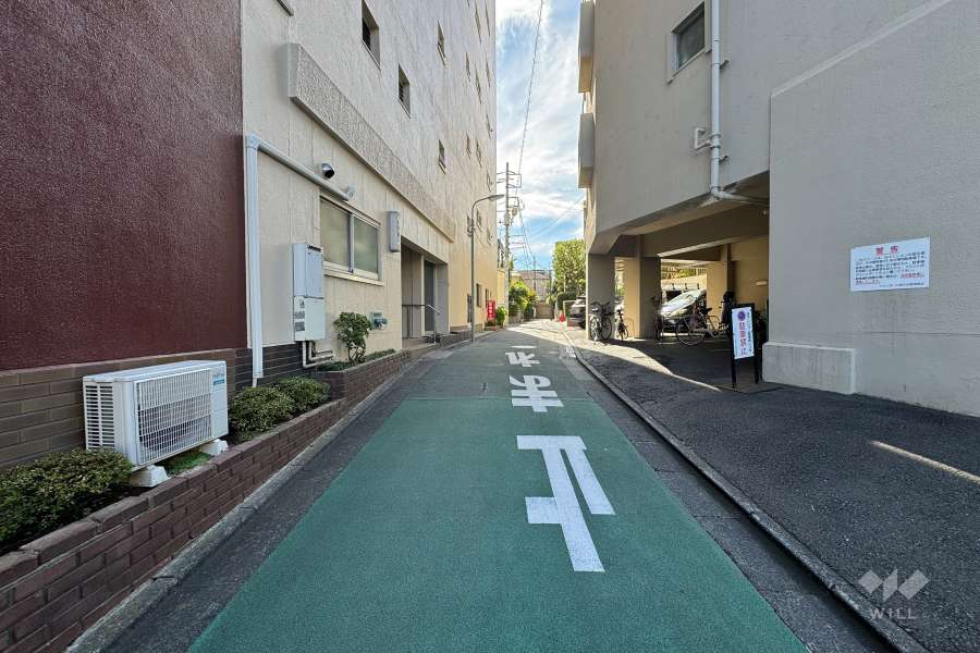 敷地西側の前面道路（北側から）