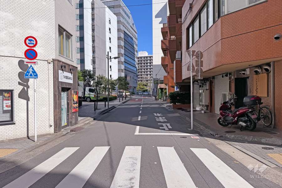 敷地東側の前面道路（南側から）