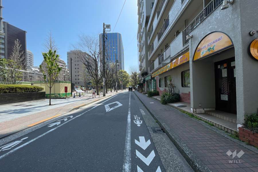 敷地北側の前面道路（西側から）