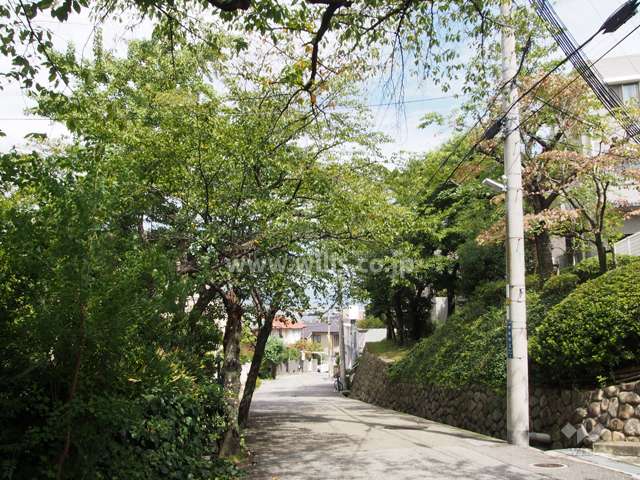 敷地北側の前面道路