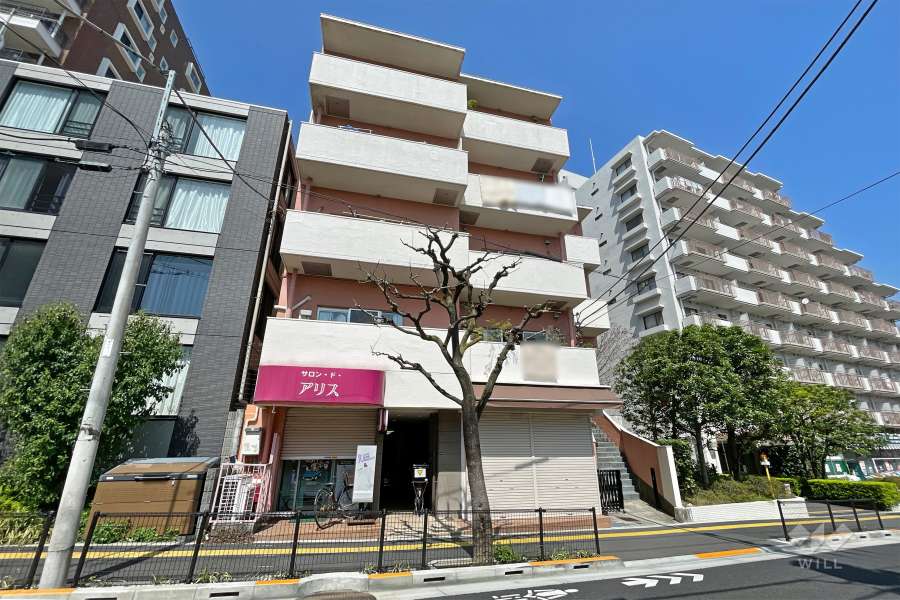 ハイツゼームス坂の外観（南東側から）